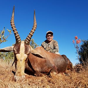 Blesbok Hunting in South Africa