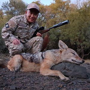 Hunt Jackal South Africa