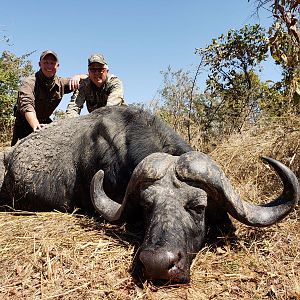 Tanzania Hunt Cape Buffalo