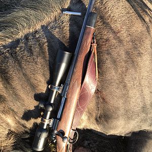 .300 win mag Remington 700 Rifle