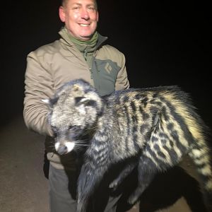 African Civet Hunting in Zimbabwe