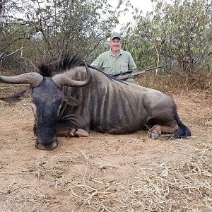 Zimbabwe Hunt Blue Wildebeest