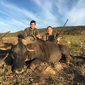 South Africa Hunting Blue Wildebeest