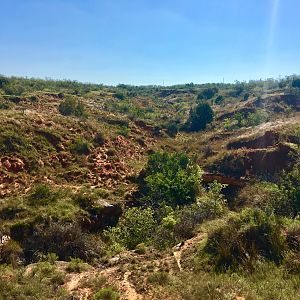 Hunting Area West Texas