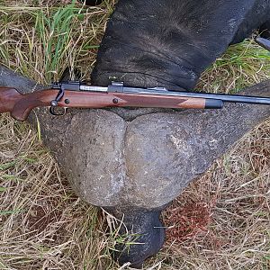 .375H&H Safari Express Rifle