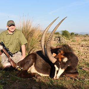 South Africa Hunt Sable Antelope