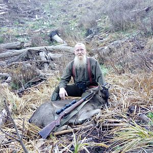 New Zealand Hunt Fallow Deer