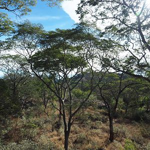 Hunting Area Zimbabwe