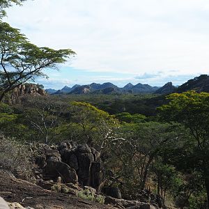 Hunting Area Zimbabwe