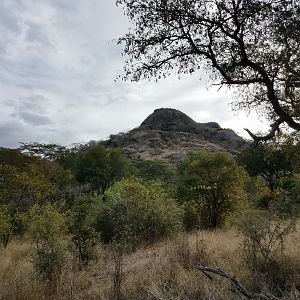 Hunting Area Zimbabwe