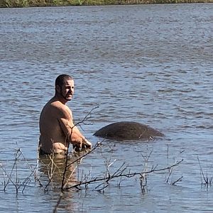 Recovering Hippo from Water