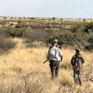 Stalking Black Springbok