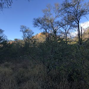 Hunting in Zimbabwe