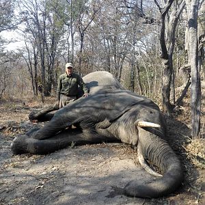 Elephant Hunt in Zimbabwe