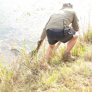 Retrieving Nyala from the water