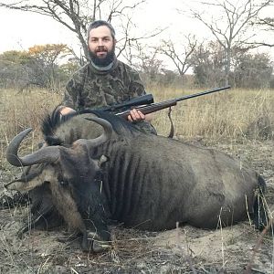 Hunting Blue Wildebeest South Africa