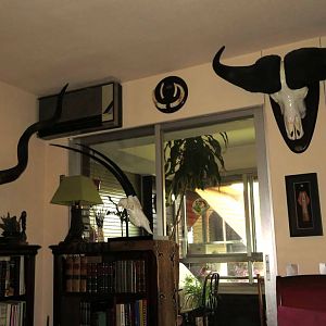 Kudu, Scimitar Oryx & Cape Buffalo European Skull Mounts