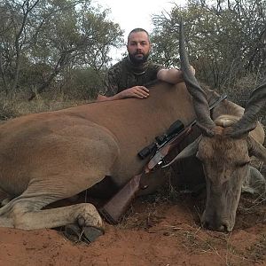 Hunting Eland South Africa