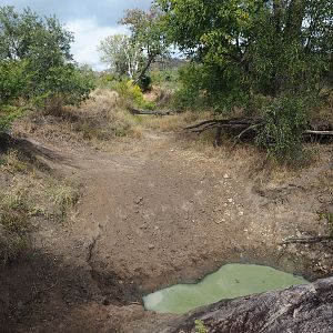 Natural water hole Zimbabwe