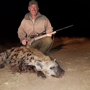 Hunting Spotted Hyena in Zimbabwe