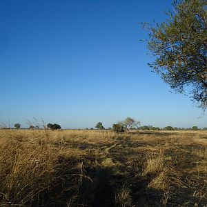 Hunting in Zambia