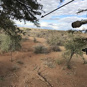 Bow Hunting in Namibia