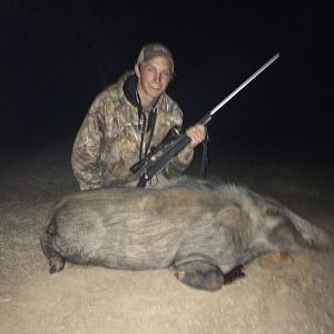 Hunting Bushpig in South Africa