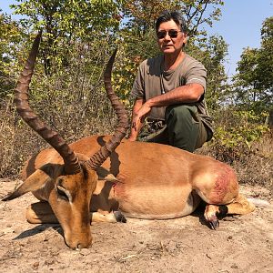 Zimbabwe Hunt Impala