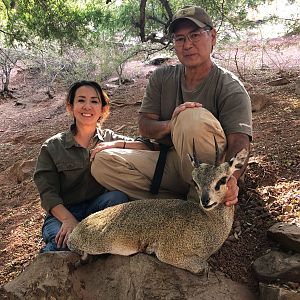 Klipspringer Hunting Zimbabwe