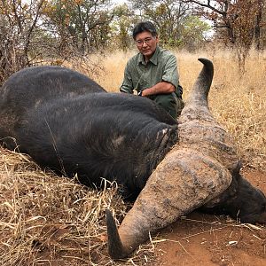 Zimbabwe Hunting Buffalo