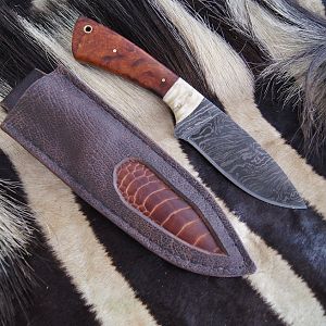 Muskox horn and Dessert ironwood Knife with Cape buffalo and Ostrich leg skin Sheath