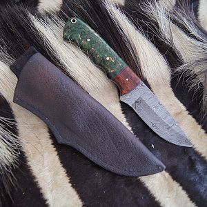 Stabilized curly grown birch wood and Lace wood Knife with Cape buffalo leather Sheath