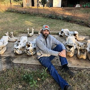 Pic of poached rhino skulls