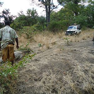 Zambia Hunting Crocodile