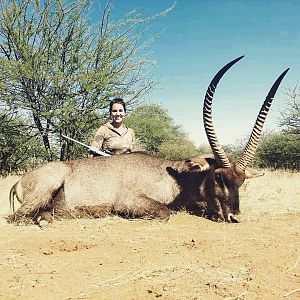 Monster Waterbuck