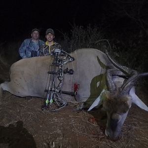 Namibia Bow Hunting Livingstone Eland