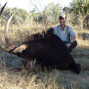 Hunting Sable Antelope in Zambia