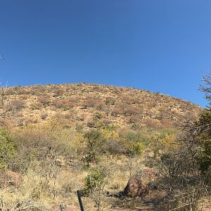 Hunting Area South Africa