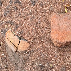 Pieces of pottery litter the ground