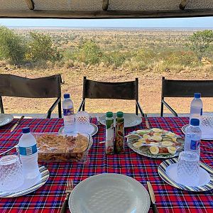 Bush lunch with a view