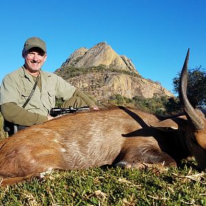 Zimbabwe Hunt 13.5” Inch Bushbuck