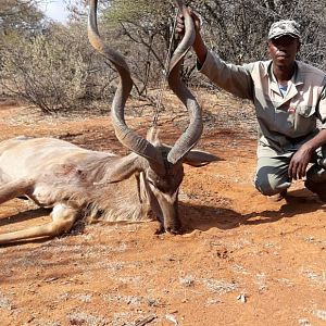 52" Inch Kudu Hunting South Africa
