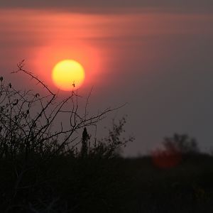 Sunset Botswana