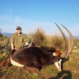 Sable Antelope Hunting South Africa