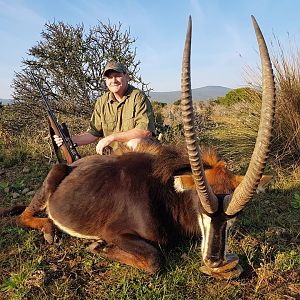 Hunt Sable Antelope in South Africa