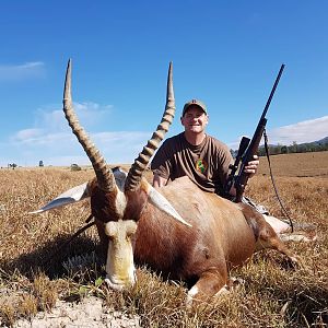 Hunting Blesbok in South Africa