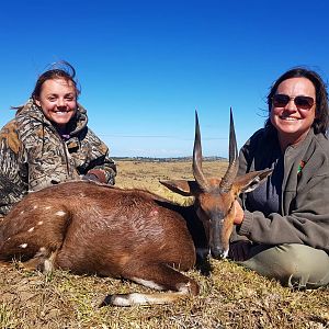 Hunt Bushbuck in South Africa