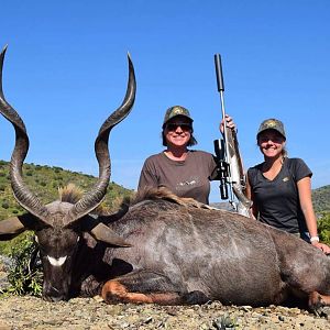 South Africa Hunting Kudu