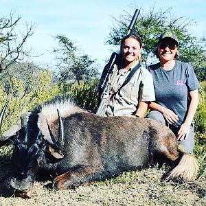 Black Wildebeest Hunt South Africa