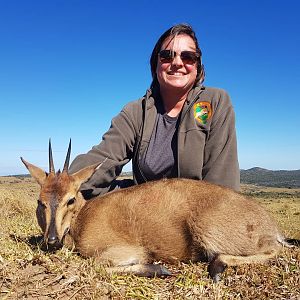 Hunting Duiker in South Africa